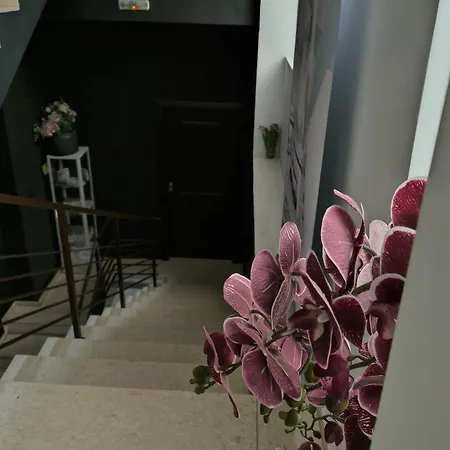 Kali Old Town Loft With Monument View Appart hôtel