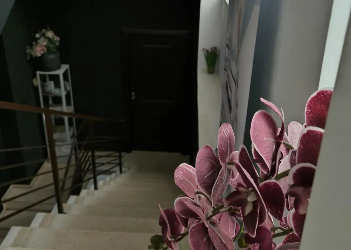 Kali Old Town Loft With Monument View Appart hôtel